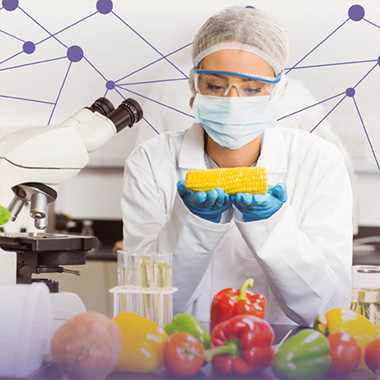 "食品、微生物组与健康"