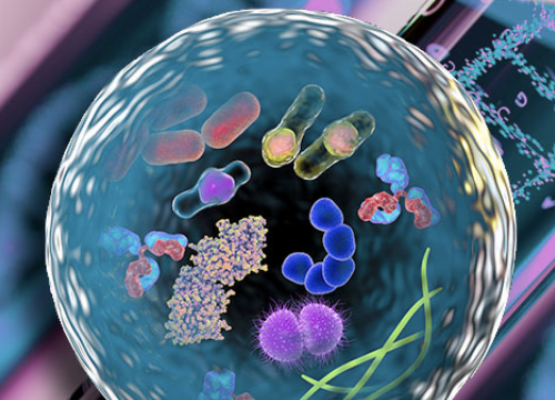 "生物化学与细胞生物学院"