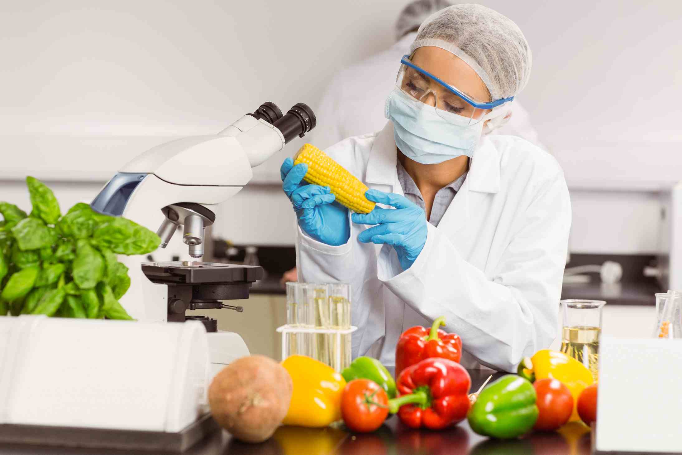 "食品与营养科学学院"