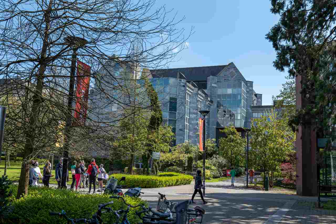 "科克大学多门学科位列2025