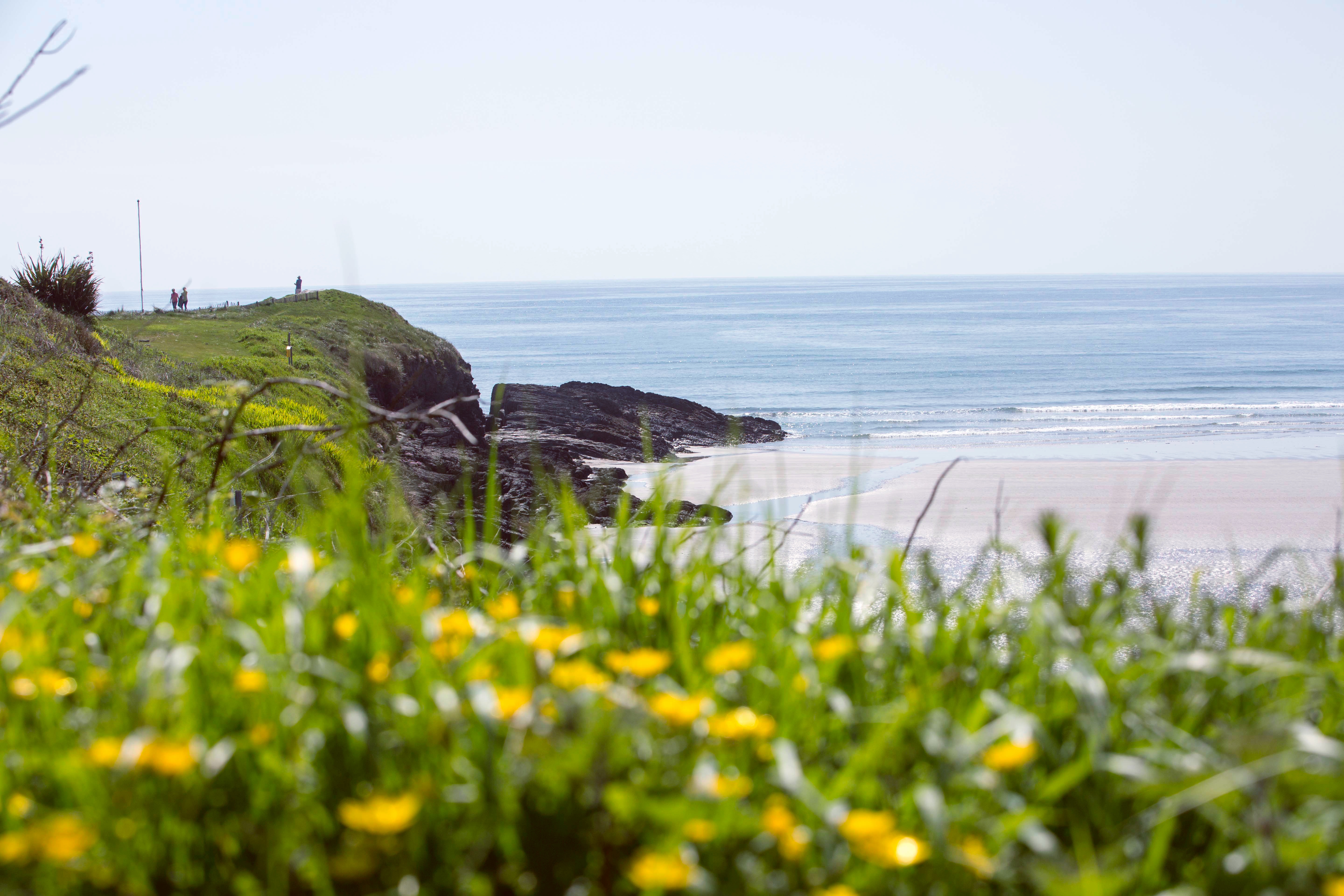 "12_13_14_LR_Lanscape