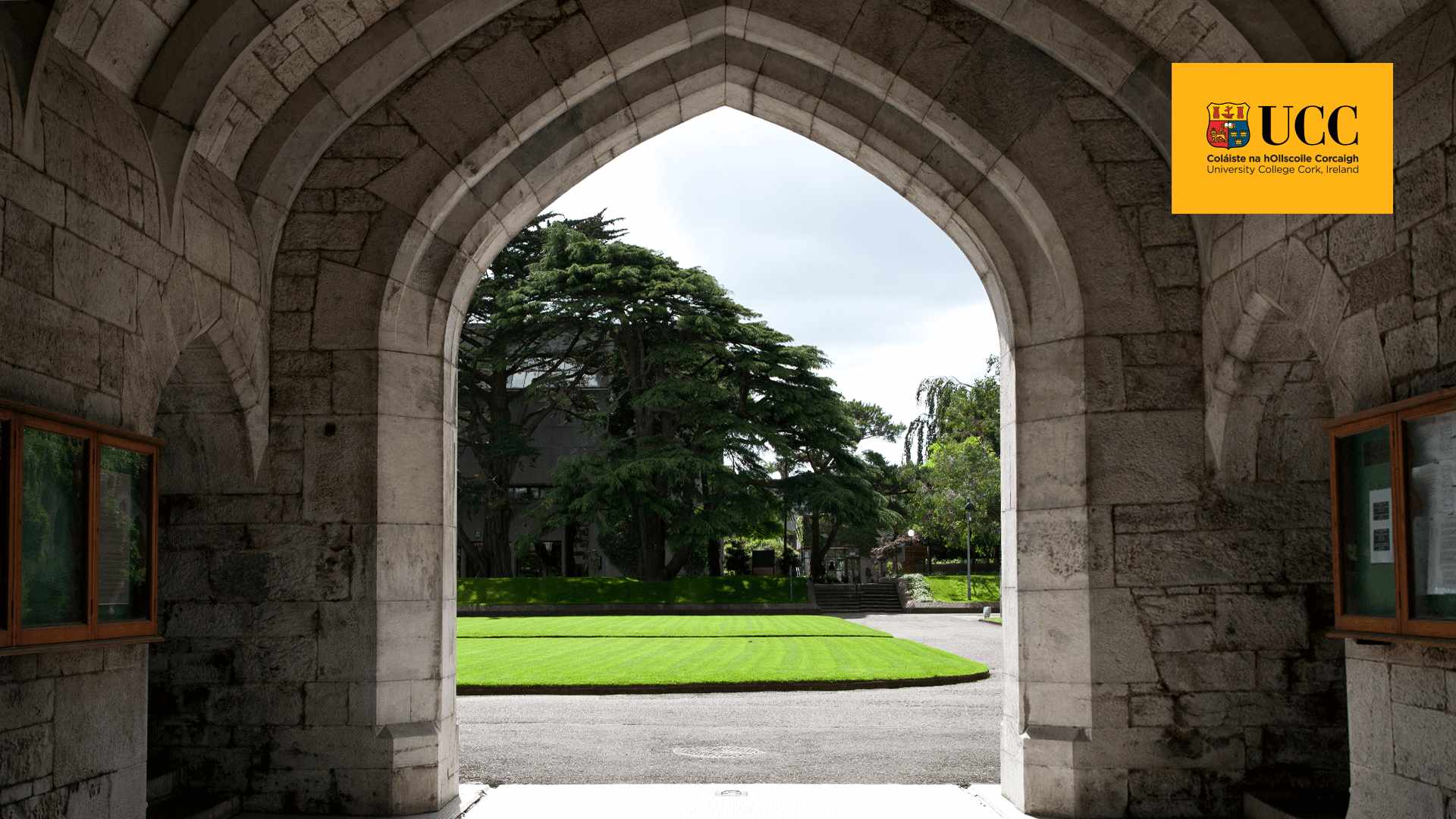 "关于科克与UCC，有没有哪些是你不知道的"