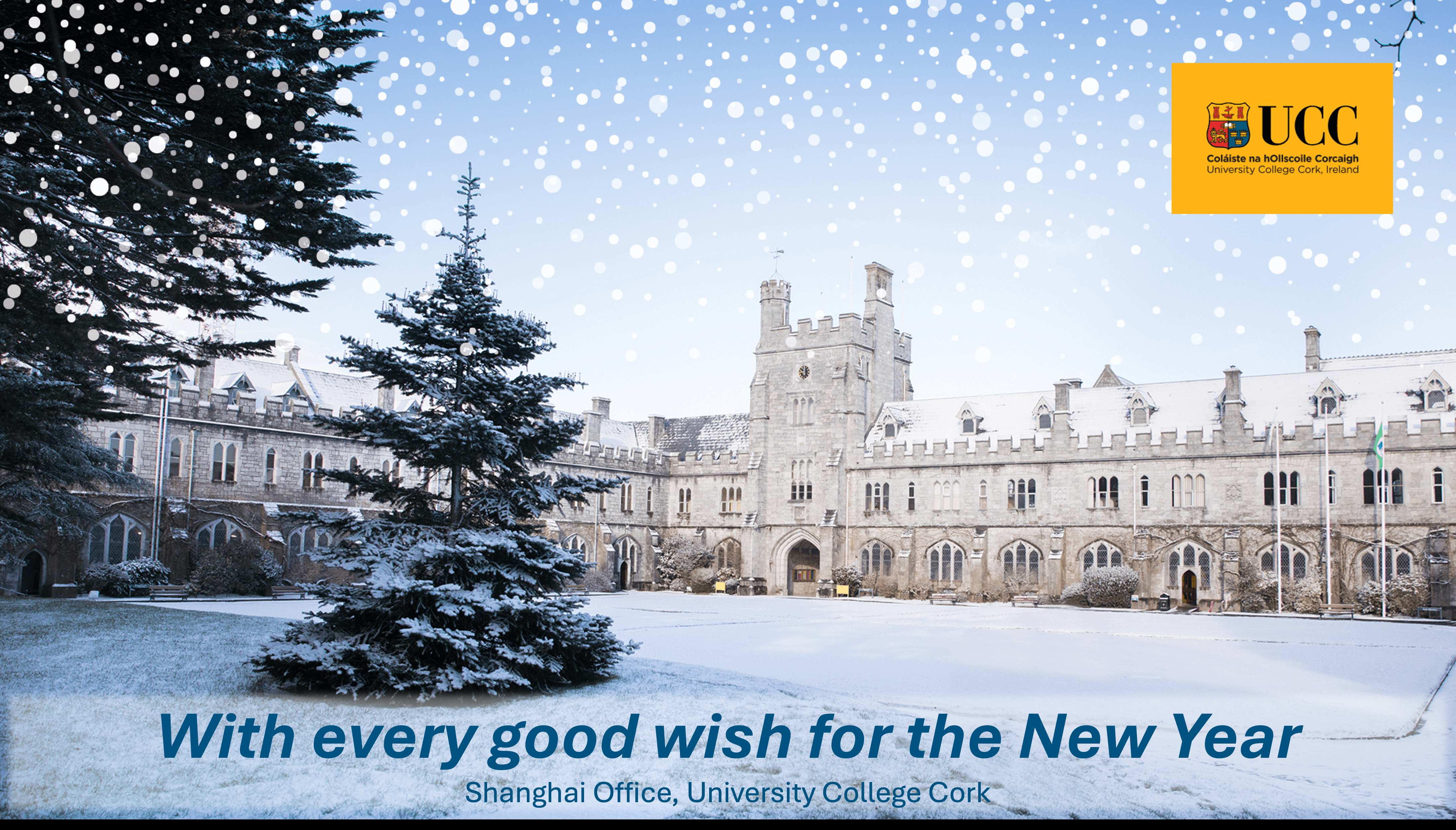 "回望2025精彩，共启未来新篇，科克大学祝大家节日快乐！"