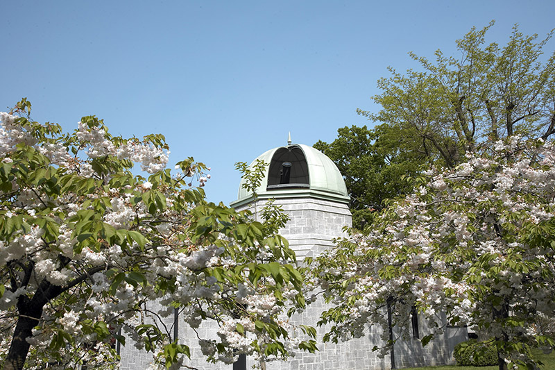 爱尔兰教育 爱尔兰教育