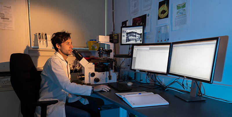 科克大学计算机科学与信息技术 科克大学计算机科学与信息技术
