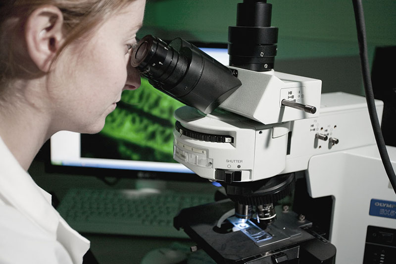 科克大学的核心语言要求 科克大学的核心语言要求