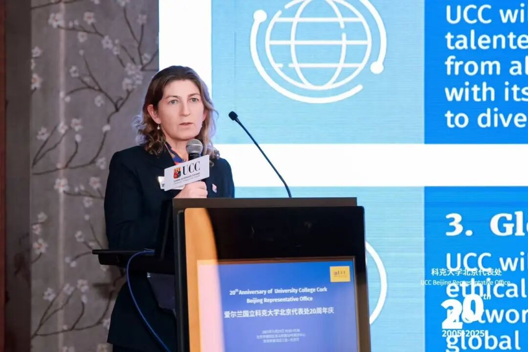 科克大学全球事务副校长厄休拉・基尔凯利教授（Prof. Ursula Kilkelly）主题