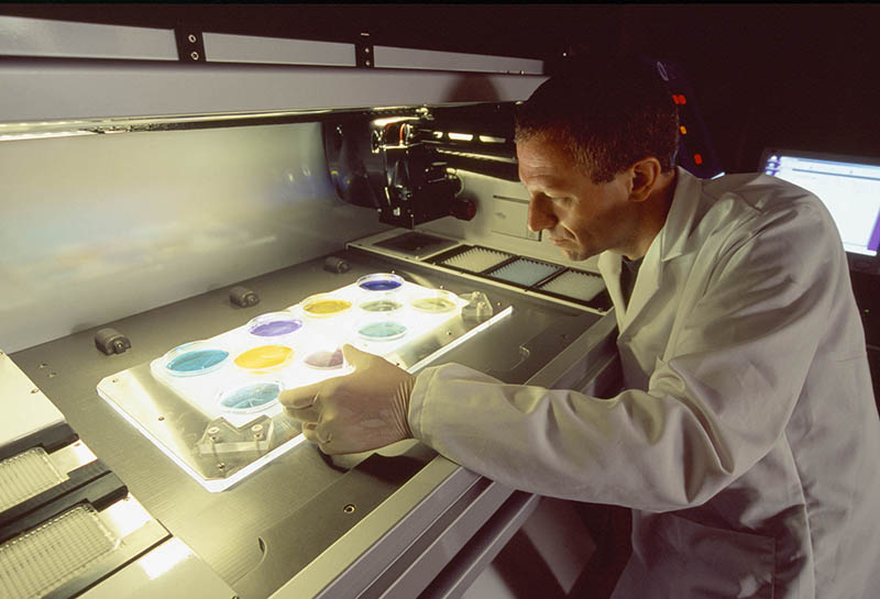 爱尔兰国立科克大学 爱尔兰国立科克大学