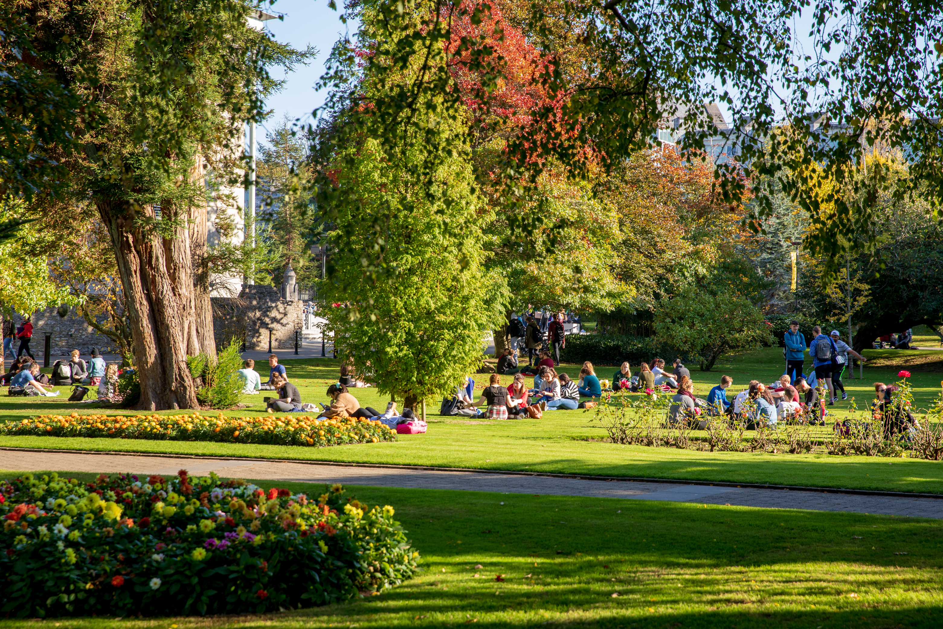 爱尔兰留学性价比