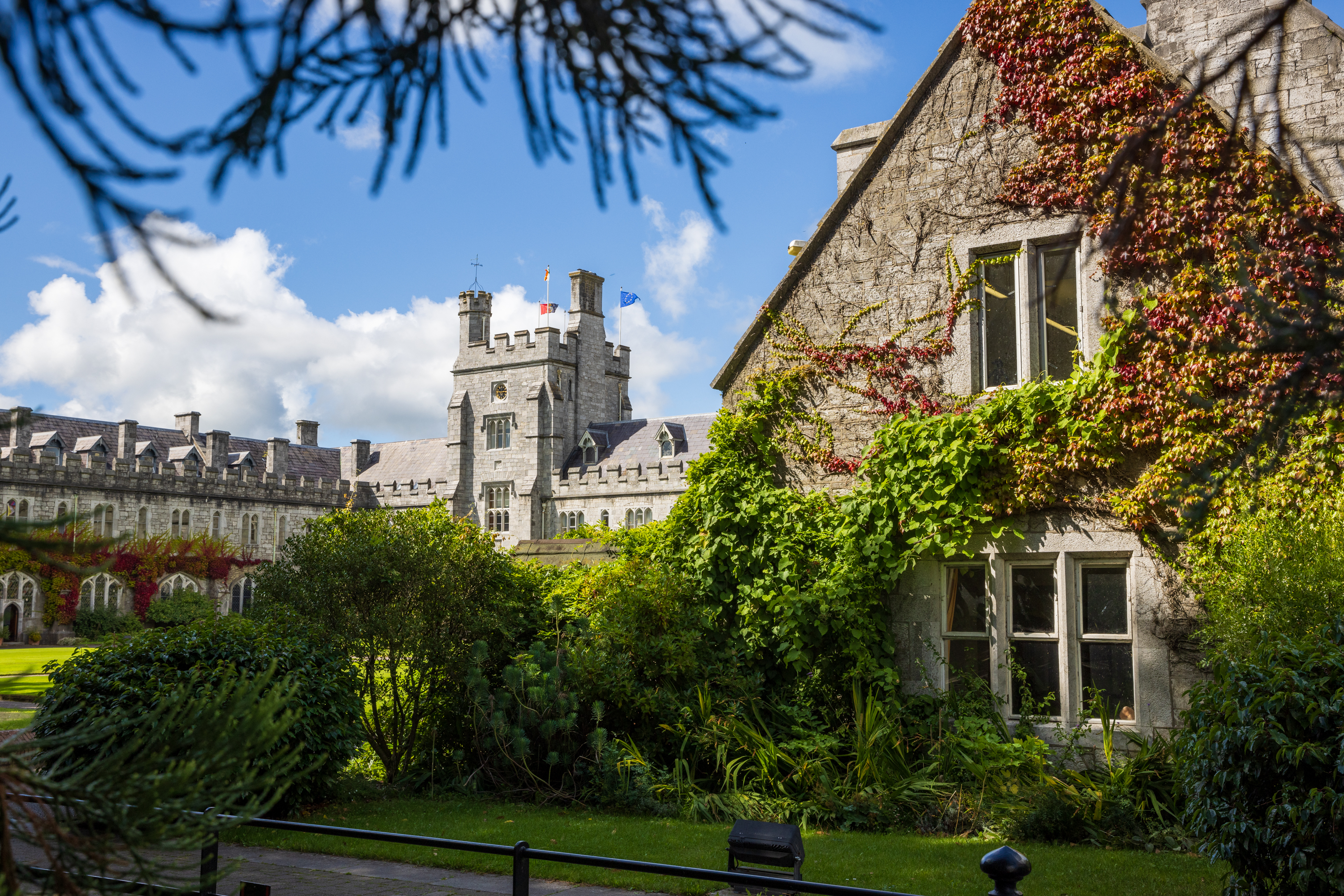 爱尔兰留学申请,爱尔兰申请时间,爱尔兰留学申请时间