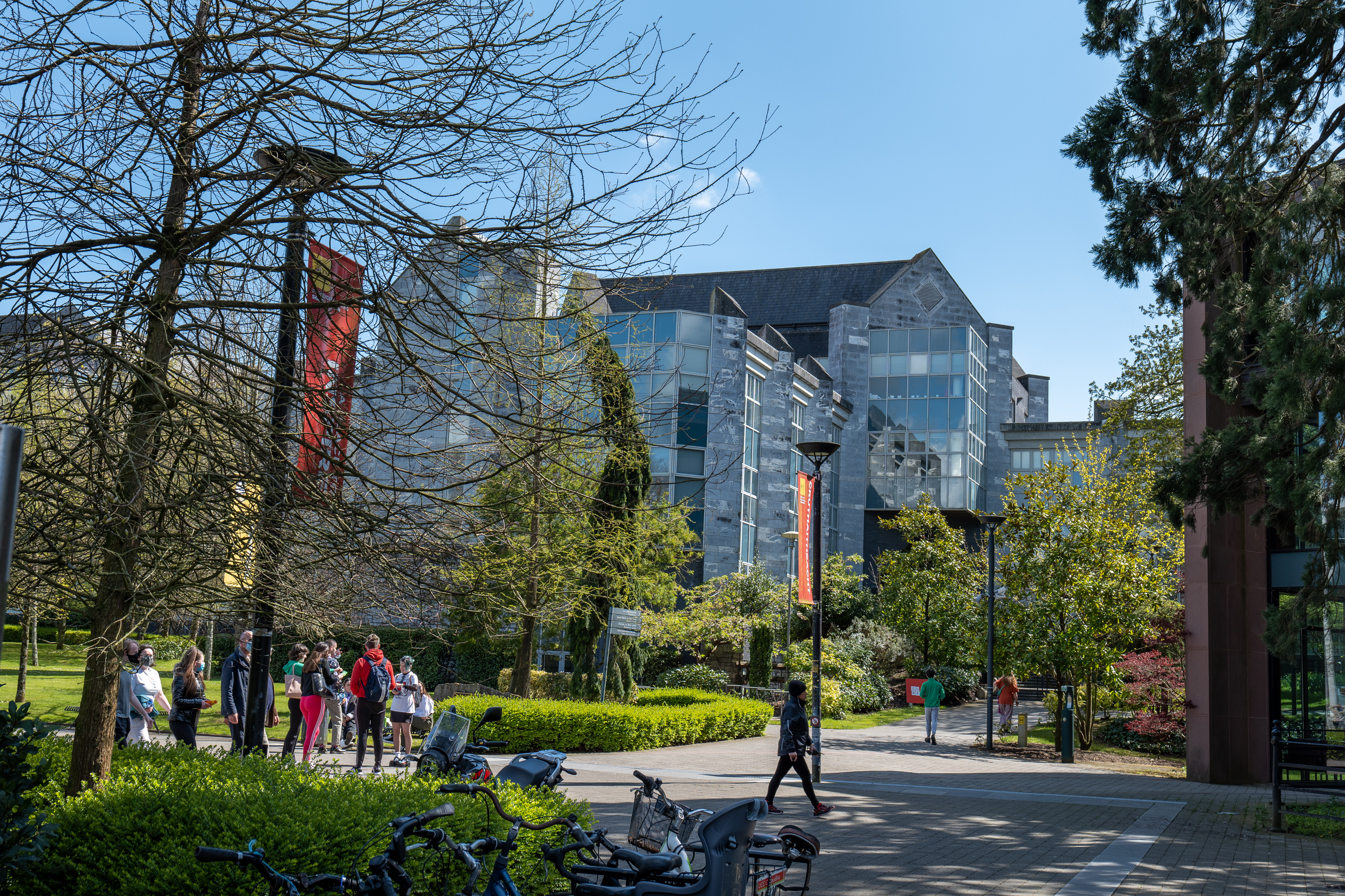 爱尔兰大学排名